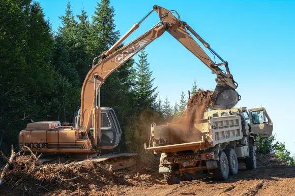 Wombet Casino Assistance